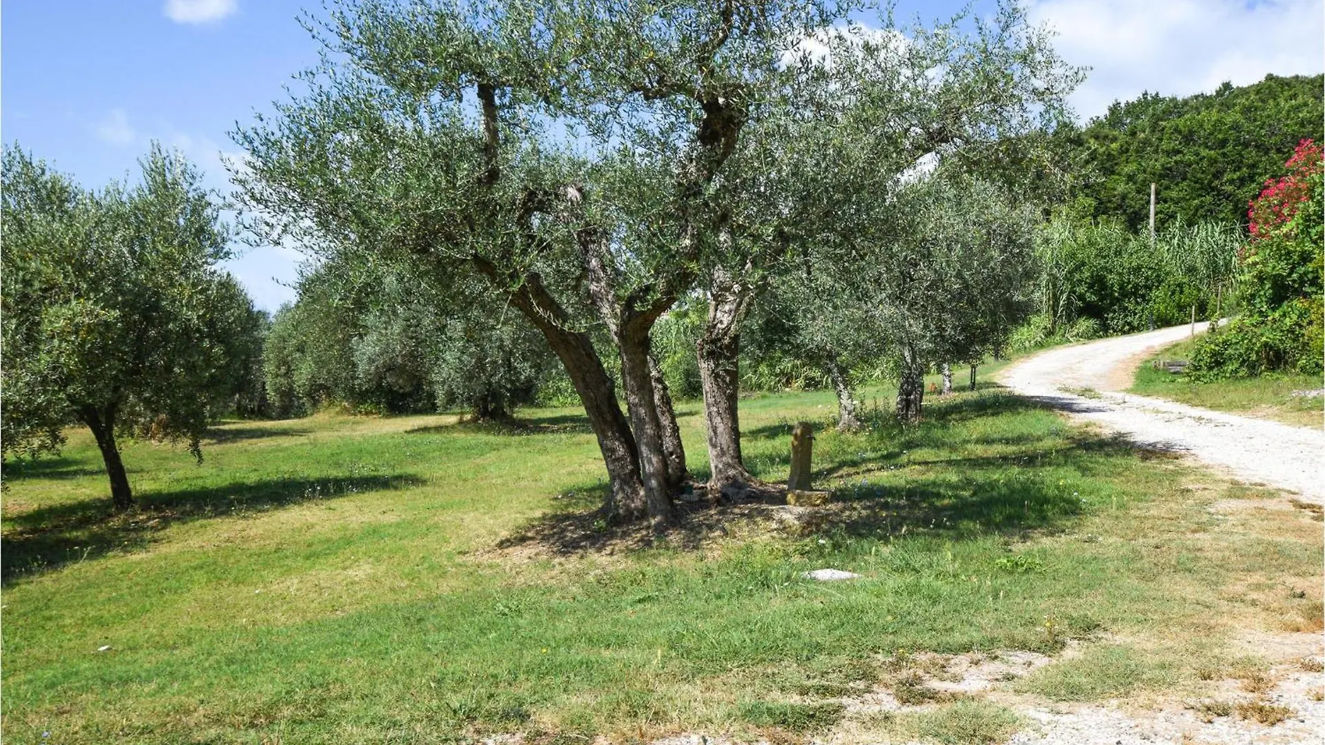 Villa Marisa Monteverdi Marittimo Holiday home